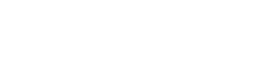 lilivis white logo