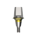 Solid Abutment-Ø6.0-2.0